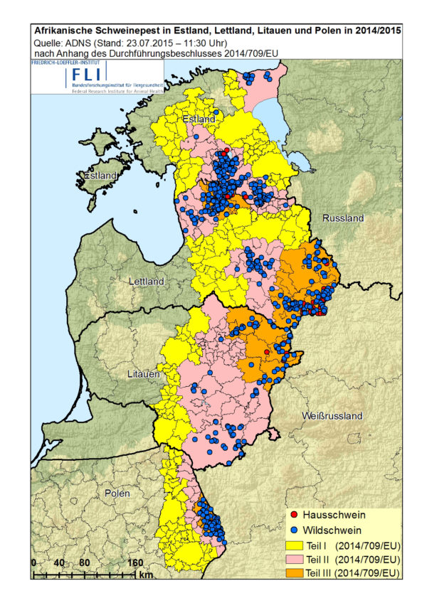 Afrikanische Schweinepest Breitet Sich Regional Weiter Aus Wir Sind Tierarzt De